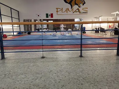 Gimnasio FES Acatlán