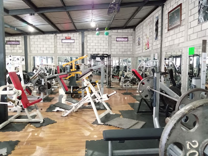 Au Fitness
