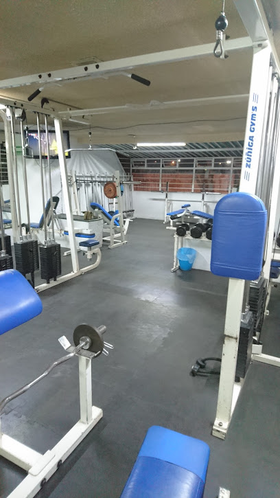 GYM del Valle