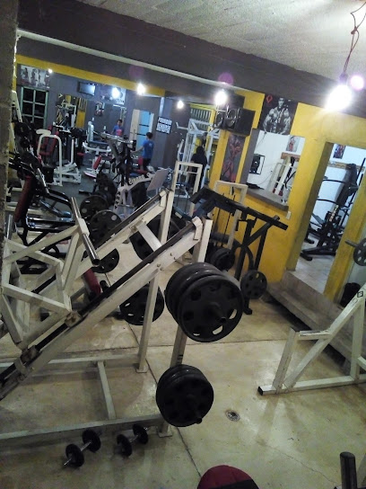 OLYMPIA´S MUSCLE CENTER
