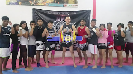 LEONES MMA OAXACA