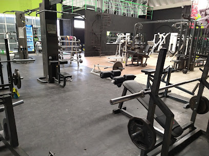 GYM 54