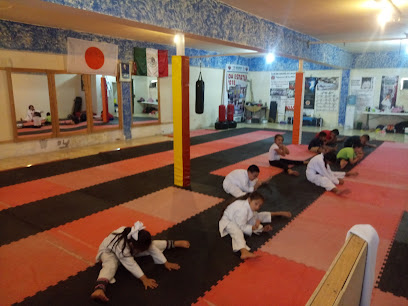 Dojo SKIF Crntral Ojinaga