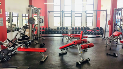 SnapFitness 24/7 Metepec