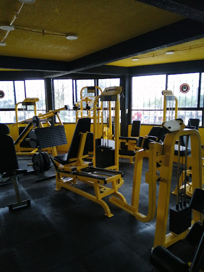 Coliseo J. A GYM