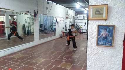 Centro Multidisciplinario integral TAPIA