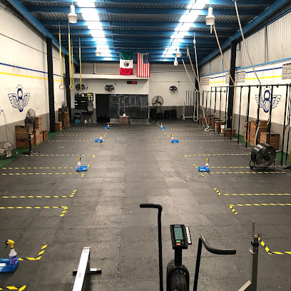 CFMID Cross Training Merida