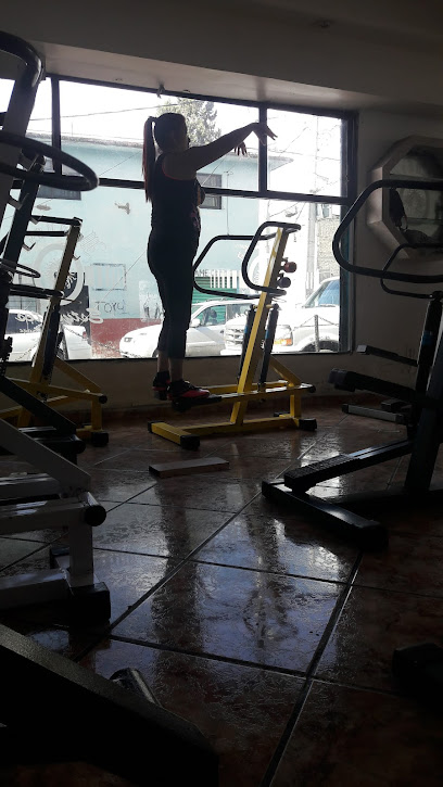 Gimnasio Brandon