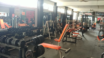 Hormiga's Gym