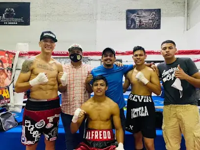 Espartanos Boxeo & Fitness