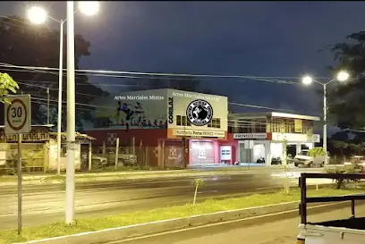 Gorilaz Mexico Wrestling & MMA