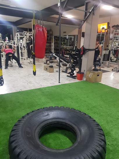LION FIT