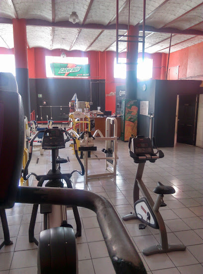 Fitness Plus City