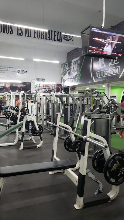 Froggys Gym