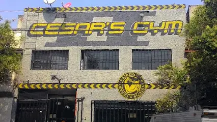 Cesar´s Gym II