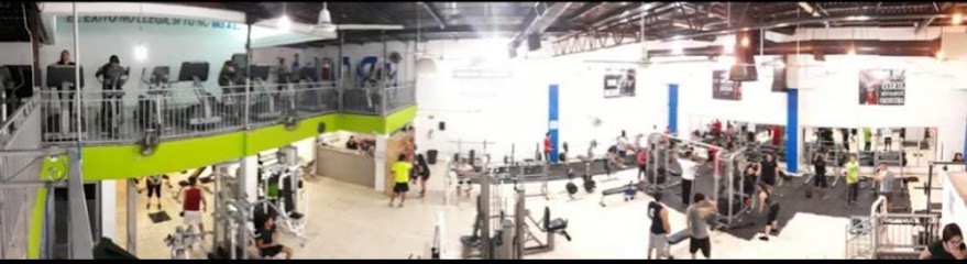 One Fit Gym