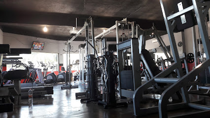 Paul's Gym