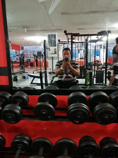 Alo Gym