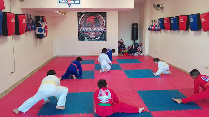 Taekwondo Guerreros 1 Berriozabal