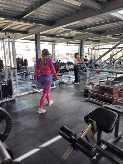 MF Gym