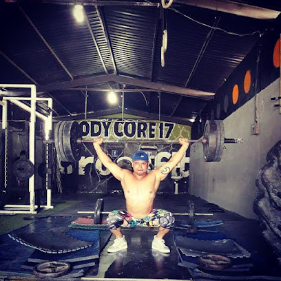 Box body core 17
