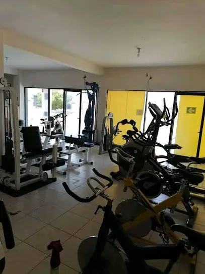 Pardini Gym
