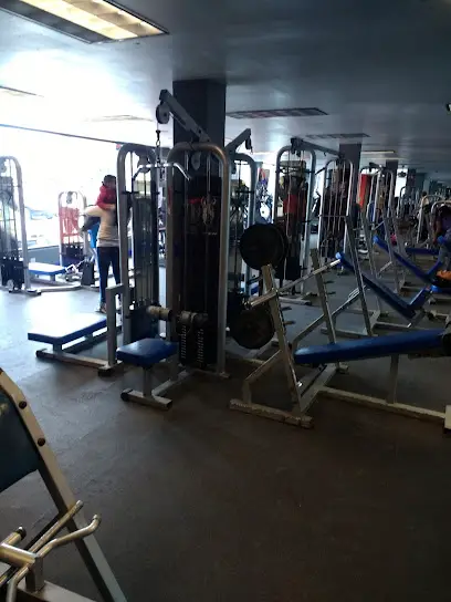Xtreme BODY Factory
