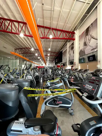 Fitmax Navarrete