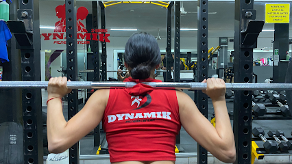 Dynamik Camino Real