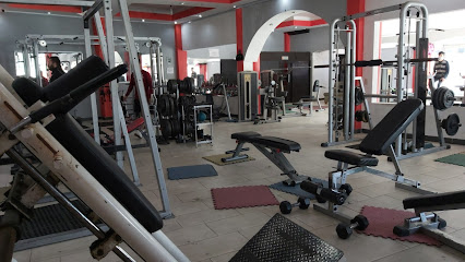 The One Fitness