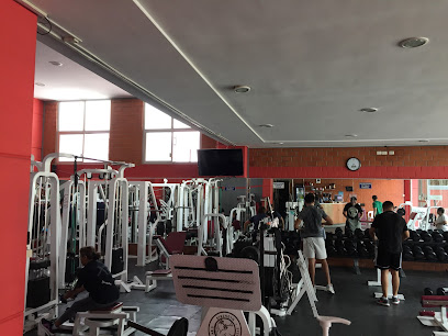 OSMO Gym