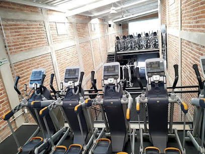 FLEX GYM