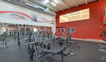 Life and Fitness México (GDL)