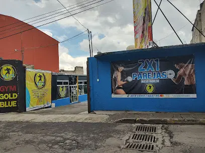 Gold Club Fitness Blue