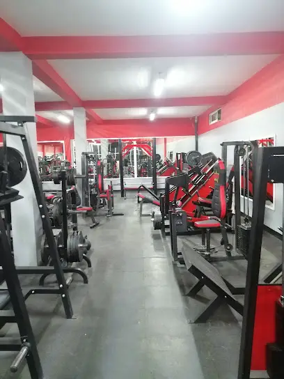 Star Body Gym
