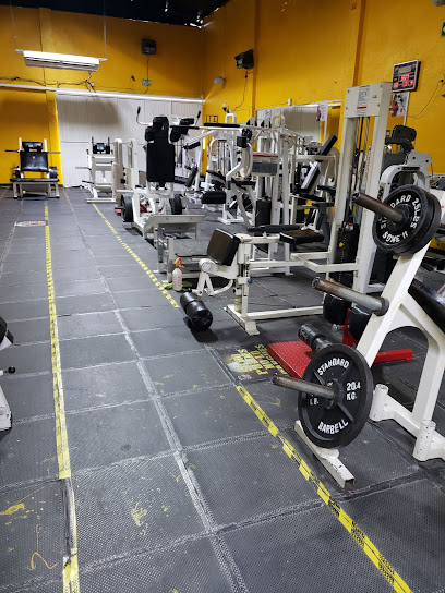 Sport Gym Papa Milo