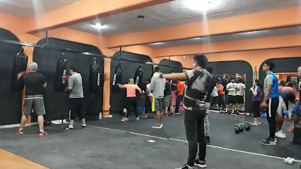 40 Fit&Punch