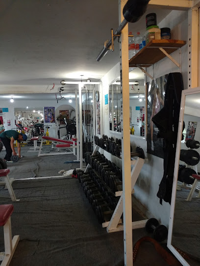 Gimnasio Mixto Platinum