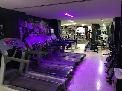 CESAR GYM Premium Physiques