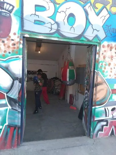 Escuela de Box Pitbull