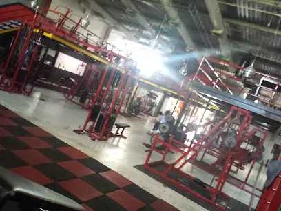 Attitude GYM
