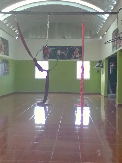 Go Sports Gym
