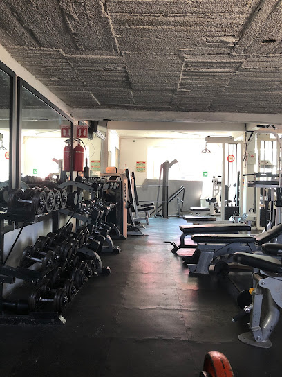 Supremo's Gym