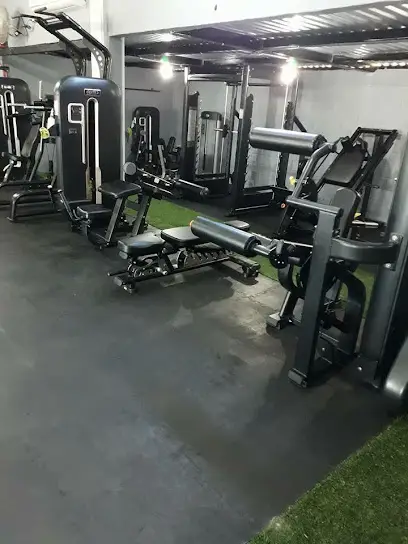 Máster gym