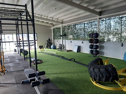 Hard fitness system