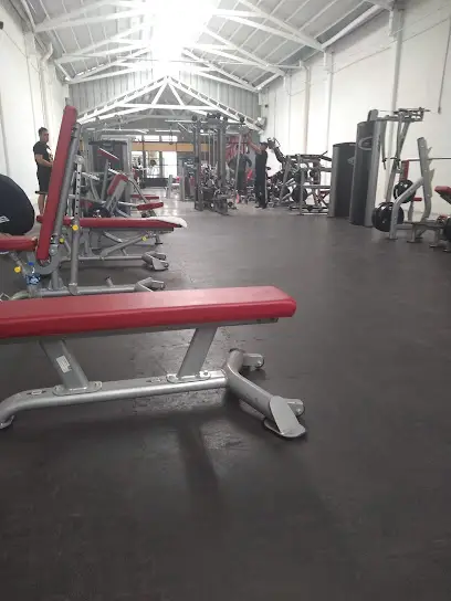 EM FITNESS CAMP