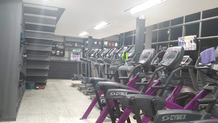 Muscle & Fitness Zamora