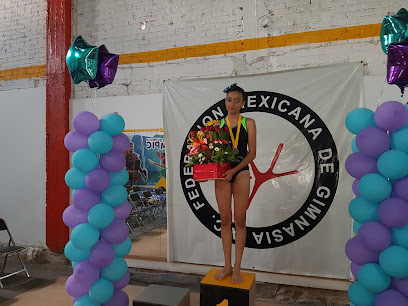 Gimnasia Olimpic