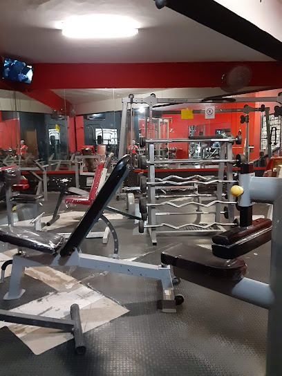 Bull Gym Matamoros