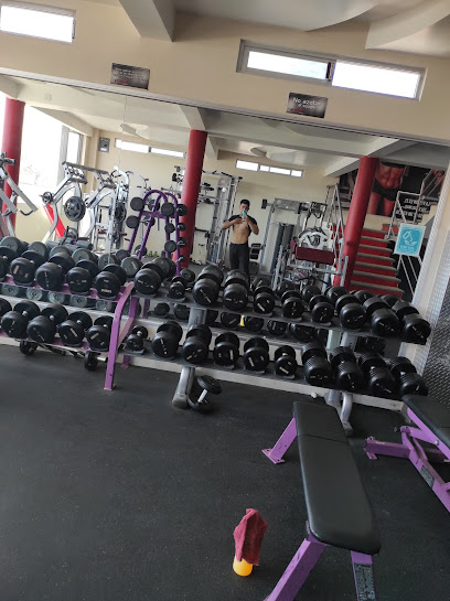 Attitude Fitness